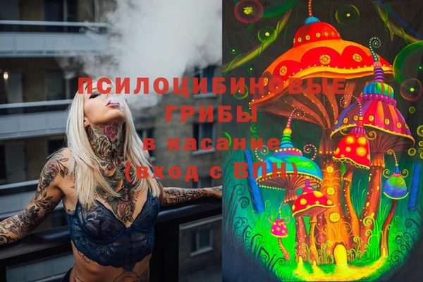 каннабис Михайловск
